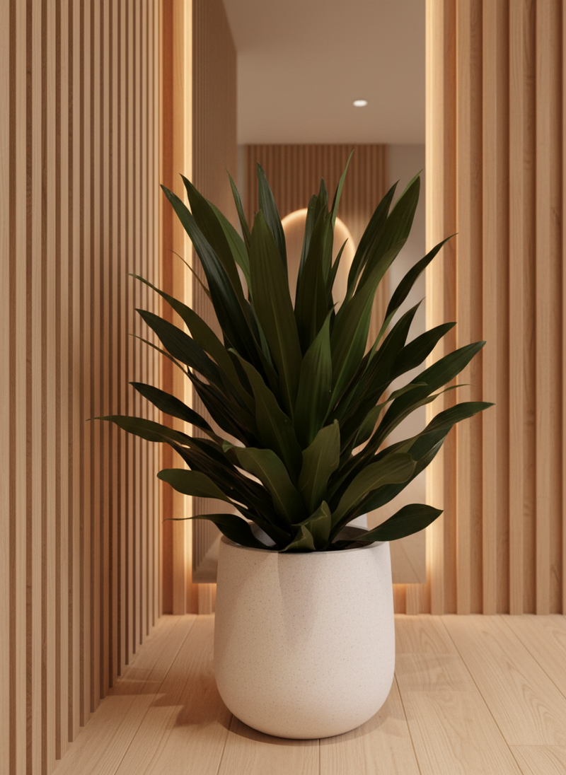 Tumbleweed Plants