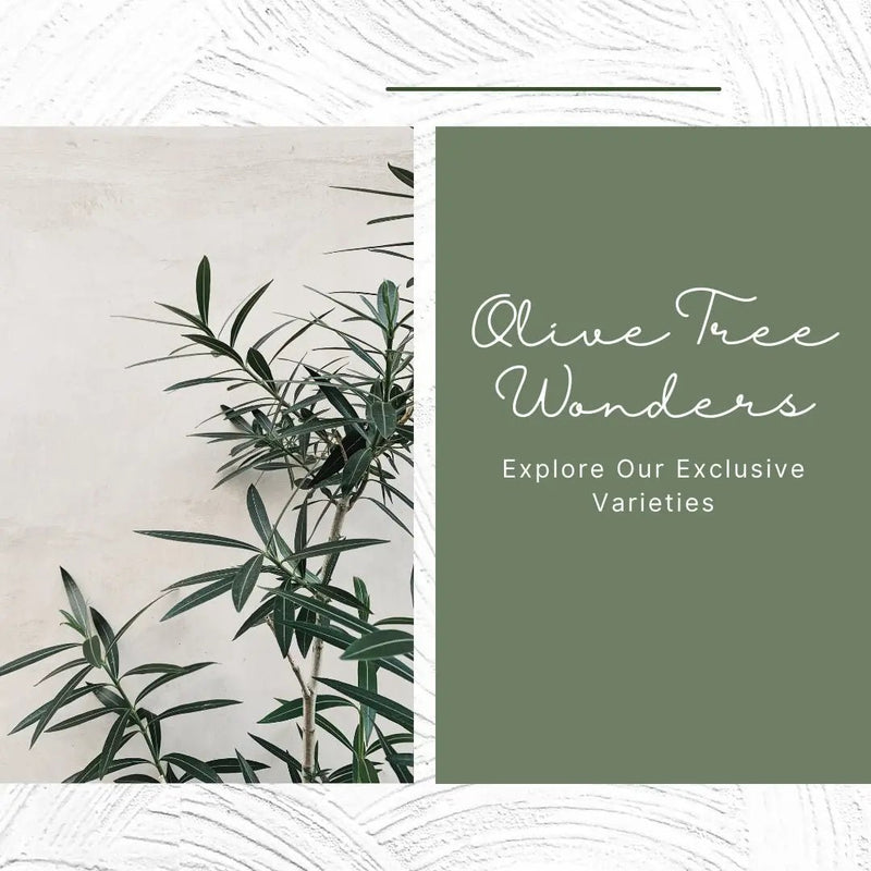 Tumbleweed Plants