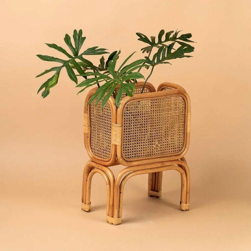 Tumbleweed Plants