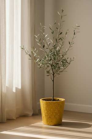Tumbleweed Plants