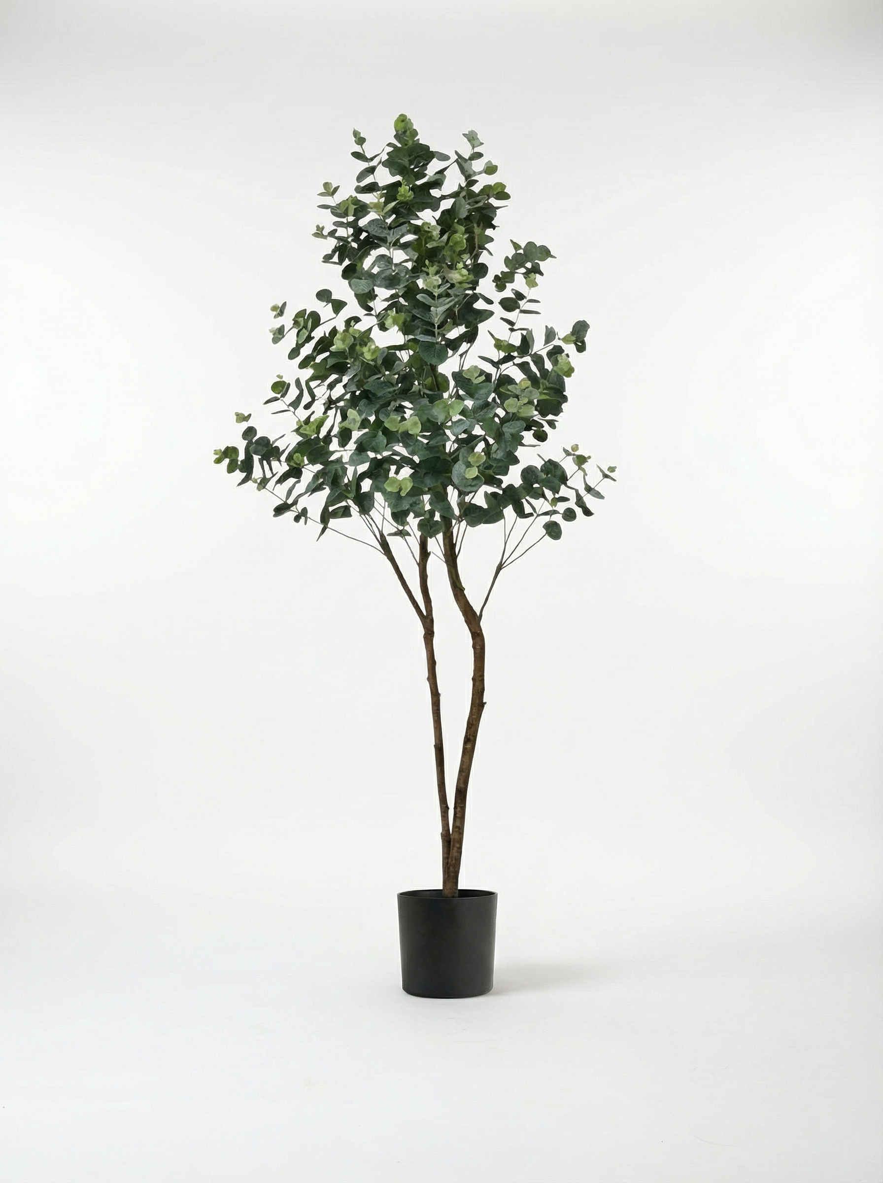 New Green Eucalyptus 150cm