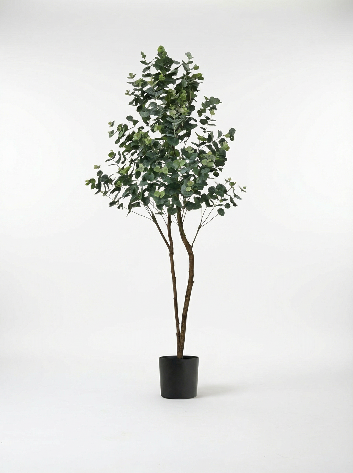 Eucalyptus Real-Trunk Artificial