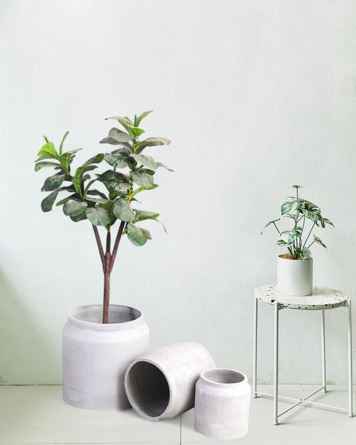 Canister Planter Large - Pots -  Tumbleweed Plants