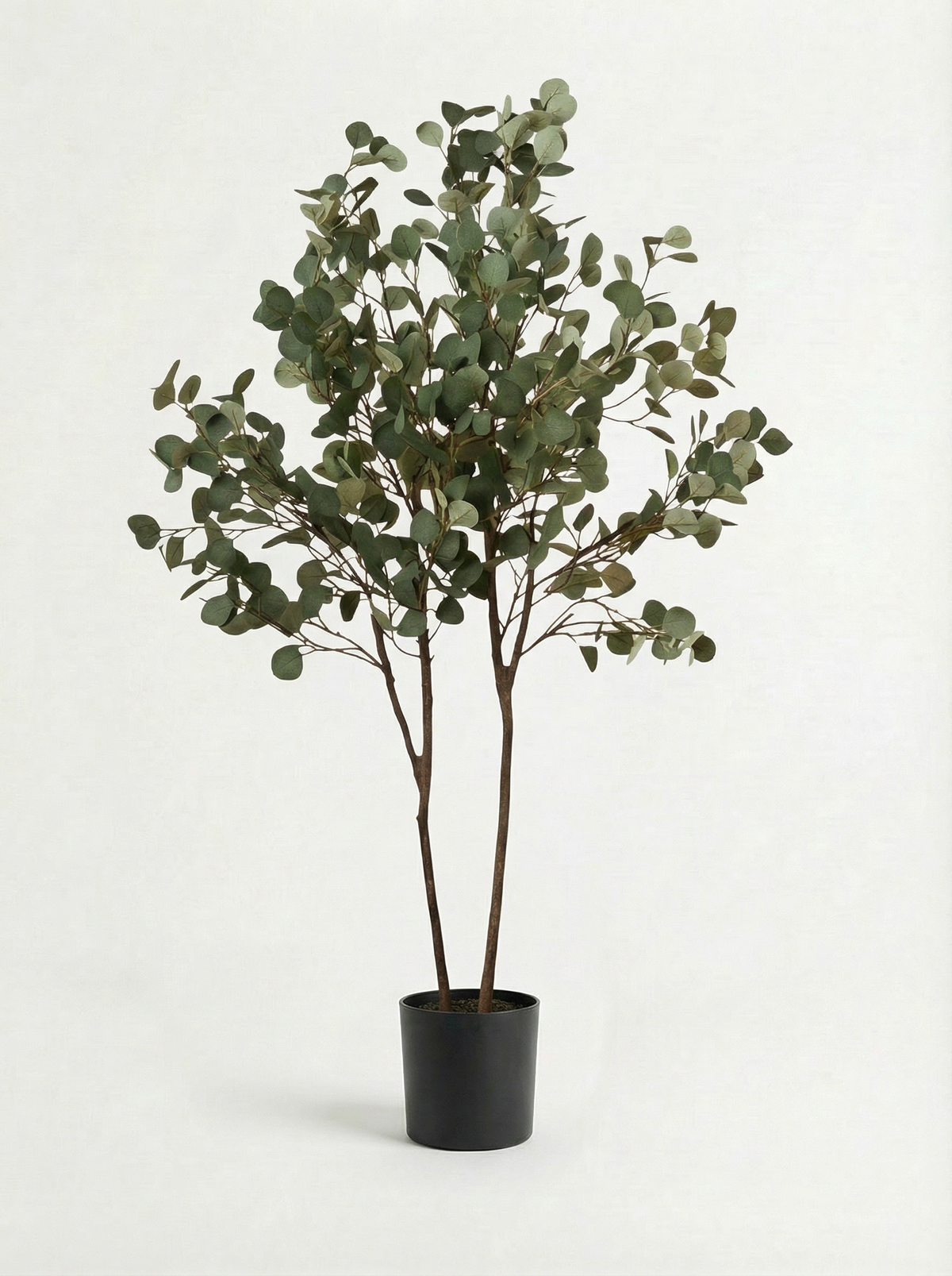 Eucalyptus Real-Trunk Artificial