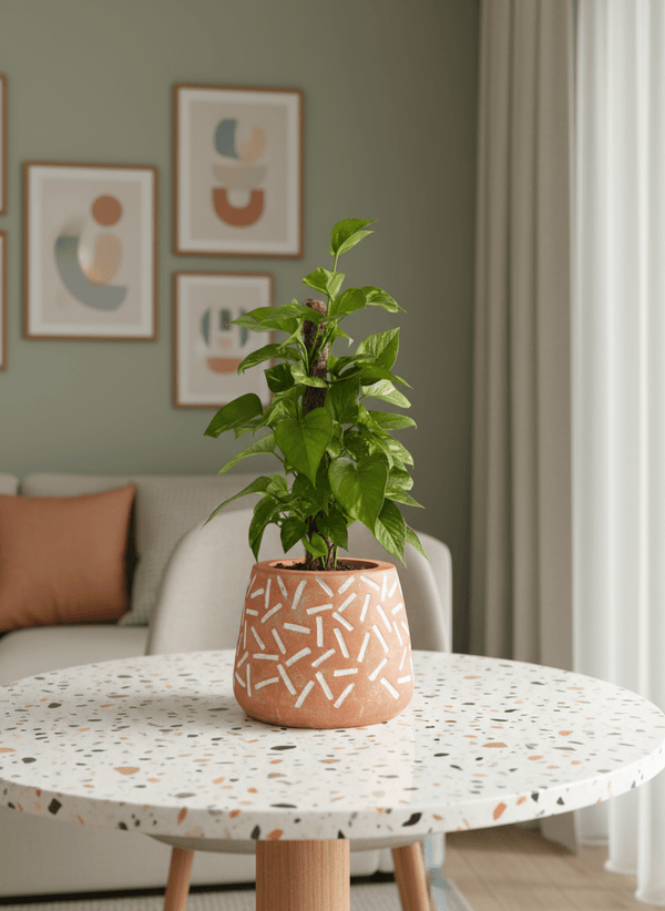 Tumbleweed Plants