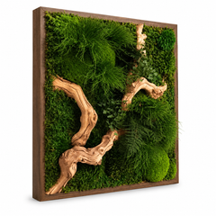 Frame Greens - MOSS.