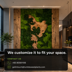 XL Frame - Preserved Plants: MOSS.