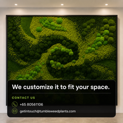 XL Frame - Preserved Plants: MOSS.