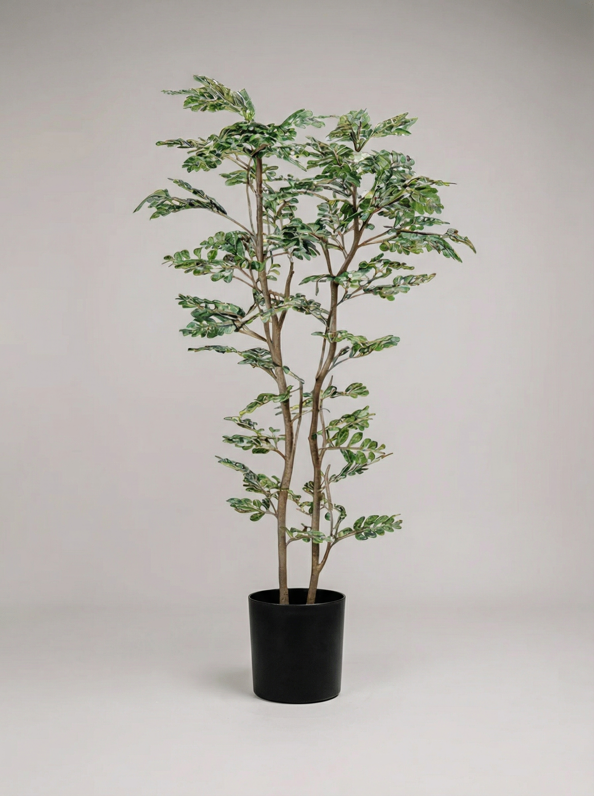 Banyan Tree - Real-Trunk Artificial