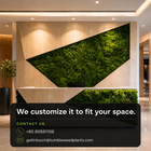 Customized Theme 6