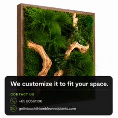 Frame Greens - MOSS.