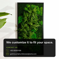 Frame Greens - MOSS.
