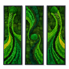 Frame - Preserved Plants: MOSS.