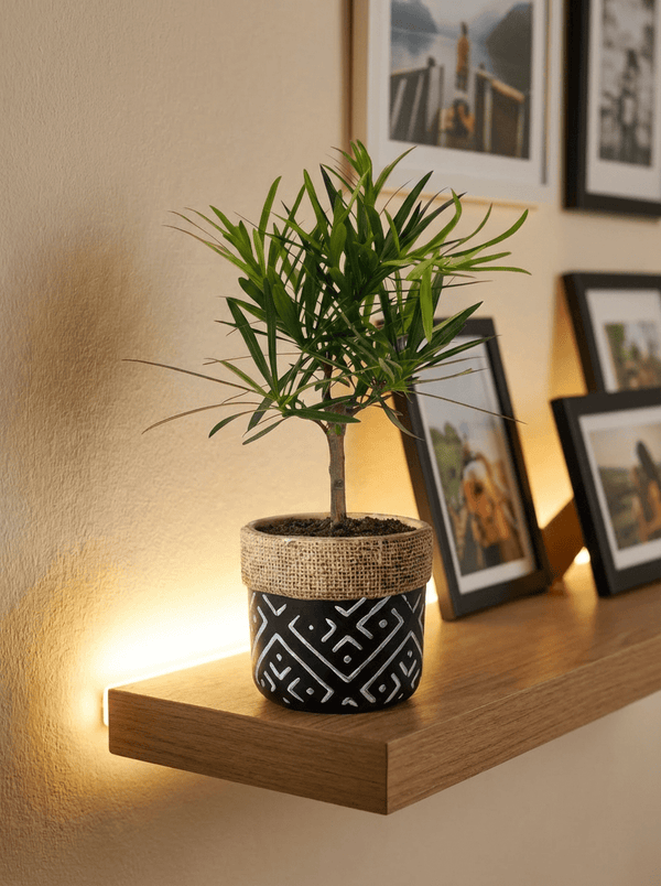 Tumbleweed Plants