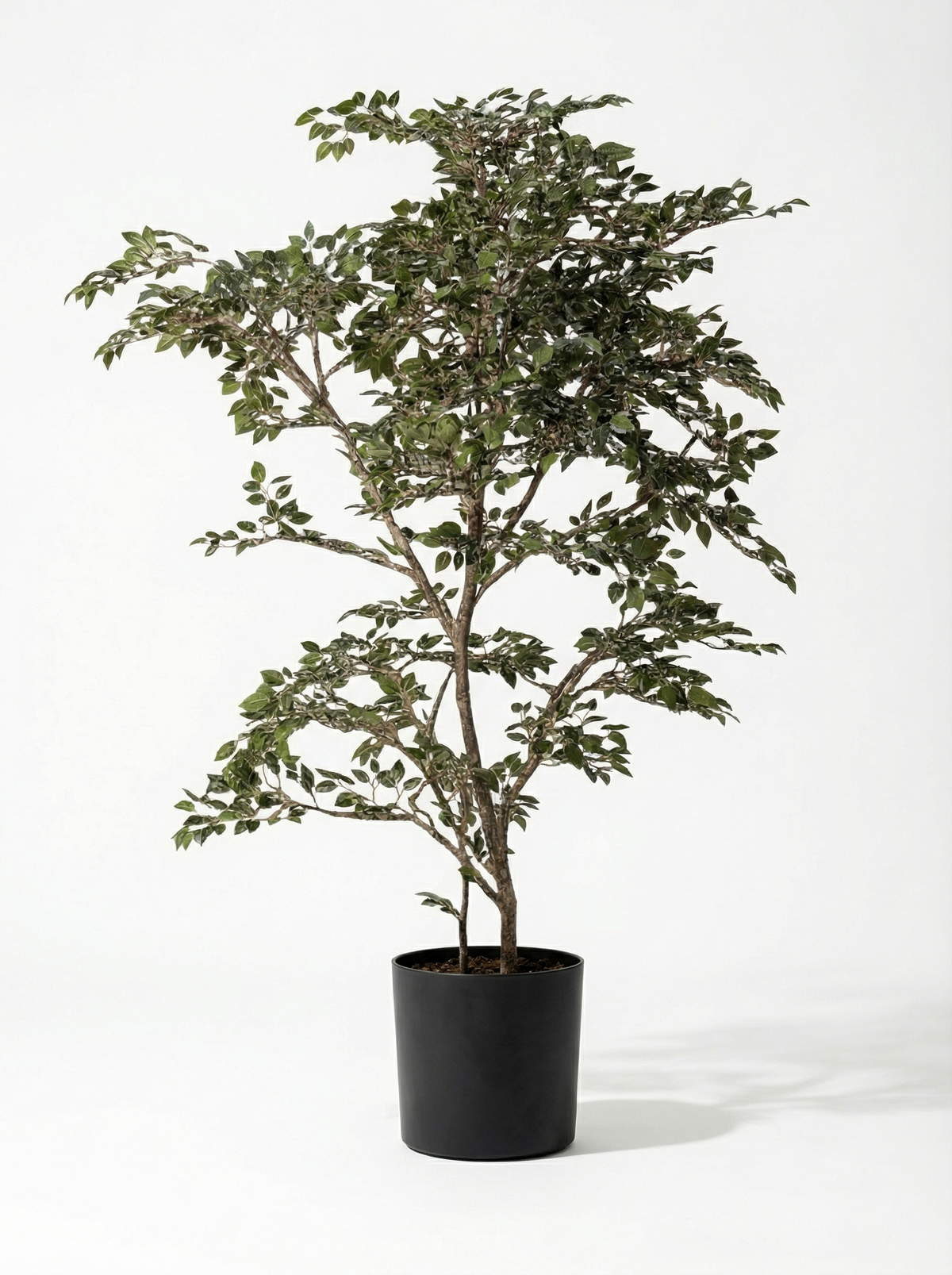 Banyan Tree - Real-Trunk Artificial