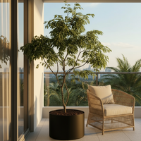 China Doll Tree - Real-Trunk Artificial