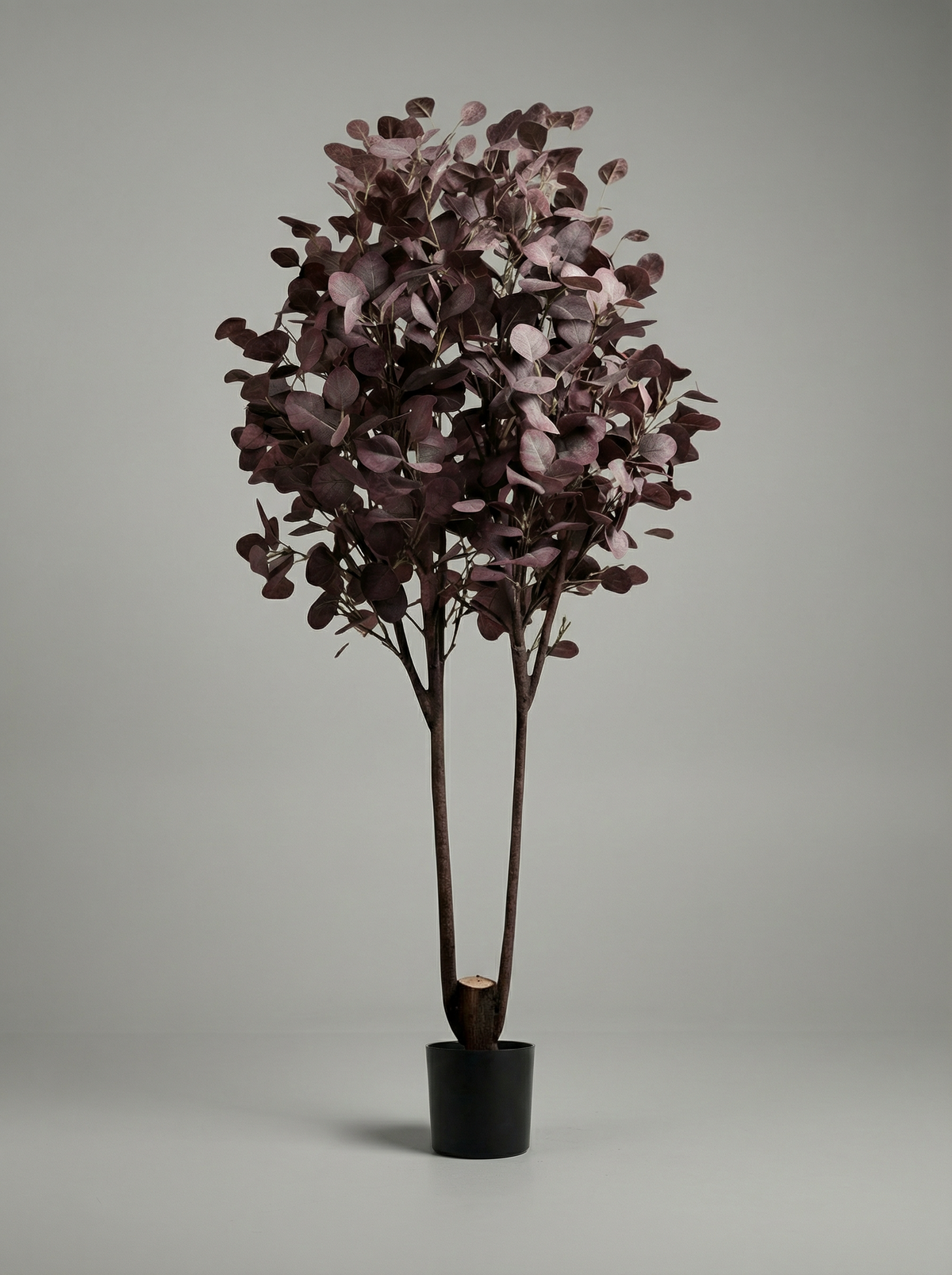 Eucalyptus Real-Trunk Artificial