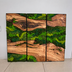 EARTH Frame - Preserved Plants: MOSS.