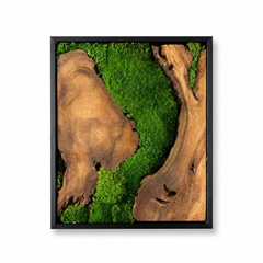 EARTH Frame - Preserved Plants: MOSS.