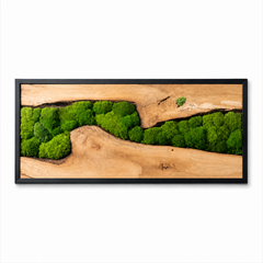 EARTH Frame - Preserved Plants: MOSS.