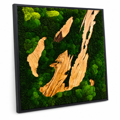 EARTH Frame - Preserved Plants: MOSS.