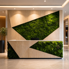 XL Frame - Preserved Plants: MOSS.