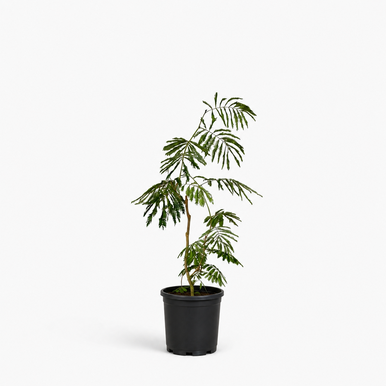 Grow Pot