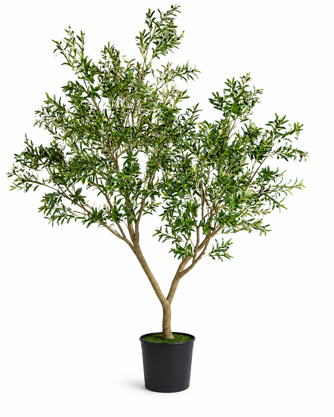 Olive Tree (Life-like Artificial)