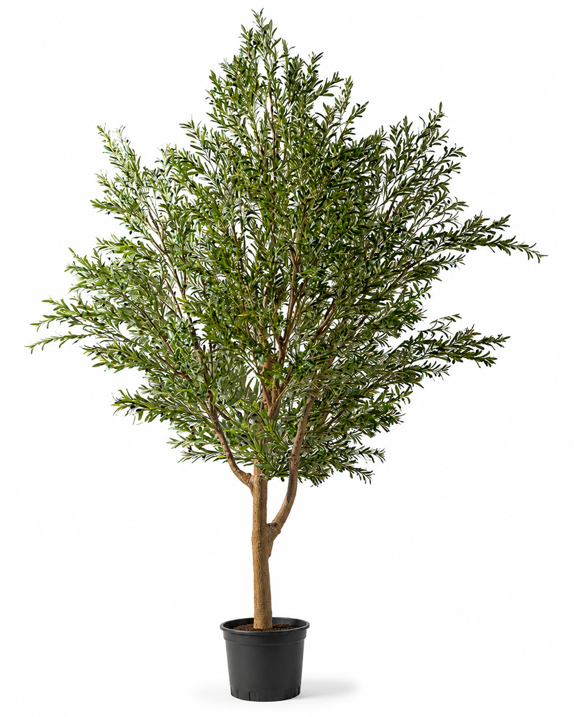 Olive Tree (Life-like Artificial)