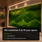 Customized Theme 4