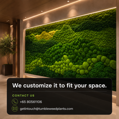 XL Frame - Preserved Plants: MOSS.
