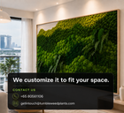 Customized Theme 5