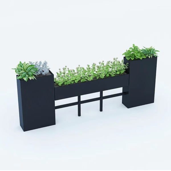 Tumbleweed Plants