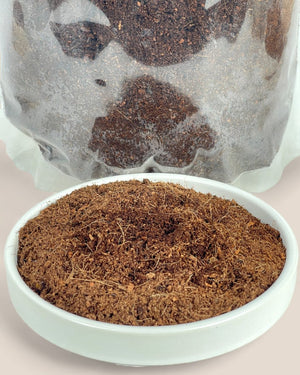 Tumbleweed Plants