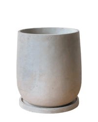 Dusty Grey Cement Planter with Tray - Medium