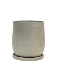 Dusty Grey Cement Planter with Tray - Medium