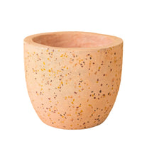 Egg Pots - Medium