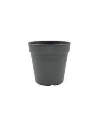 Essential Plastic Pot - Medium