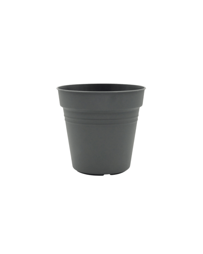 Essential Plastic Pot - Medium - Planter - 5464304794015 - Tumbleweed Plants - Online Plant Delivery Singapore