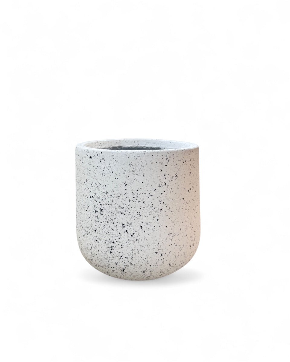 Goblet Pot - Large - Pots - POTS - GOBL - SSM - 7297 - Tumbleweed Plants - Online Plant Delivery Singapore