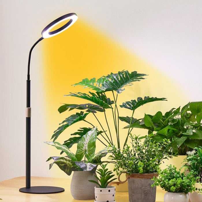 HALO Table Plant Lights - Plant Lights - 5653683746981 - Tumbleweed Plants - Online Plant Delivery Singapore