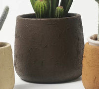 Tulip Terracotta - Medium