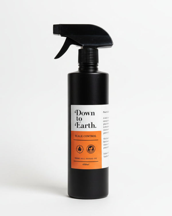 Down To Earth. Scale Control