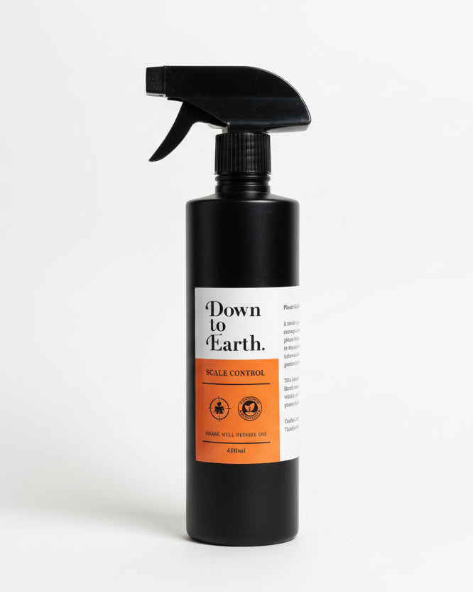 Down To Earth. Scale Control