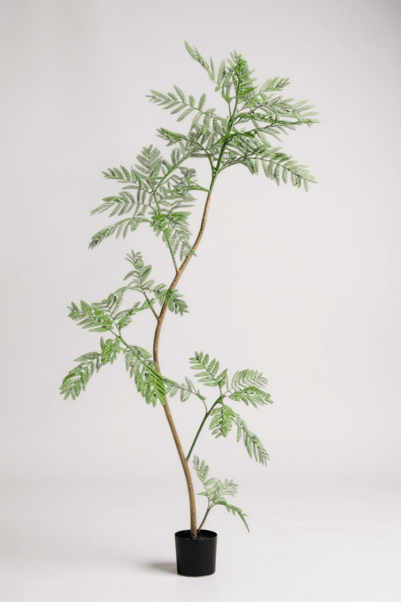 Grow Pot