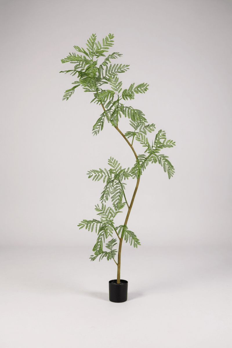 Grow Pot