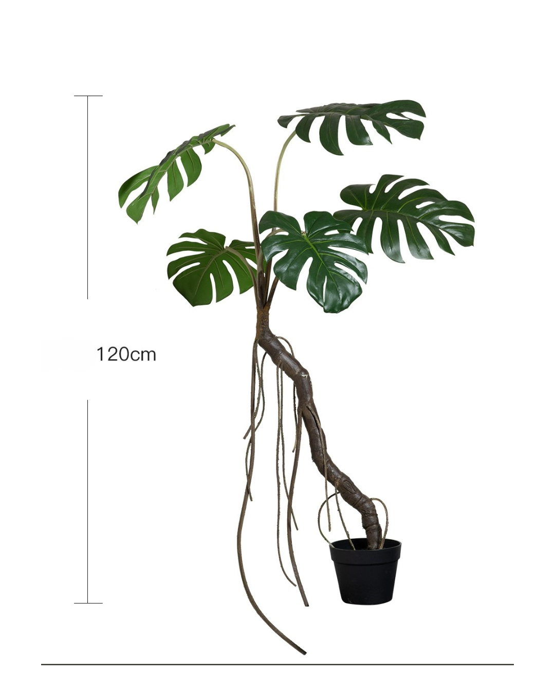 120cm