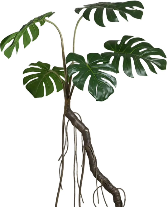 Large Monstera (Life-like Artificial)
