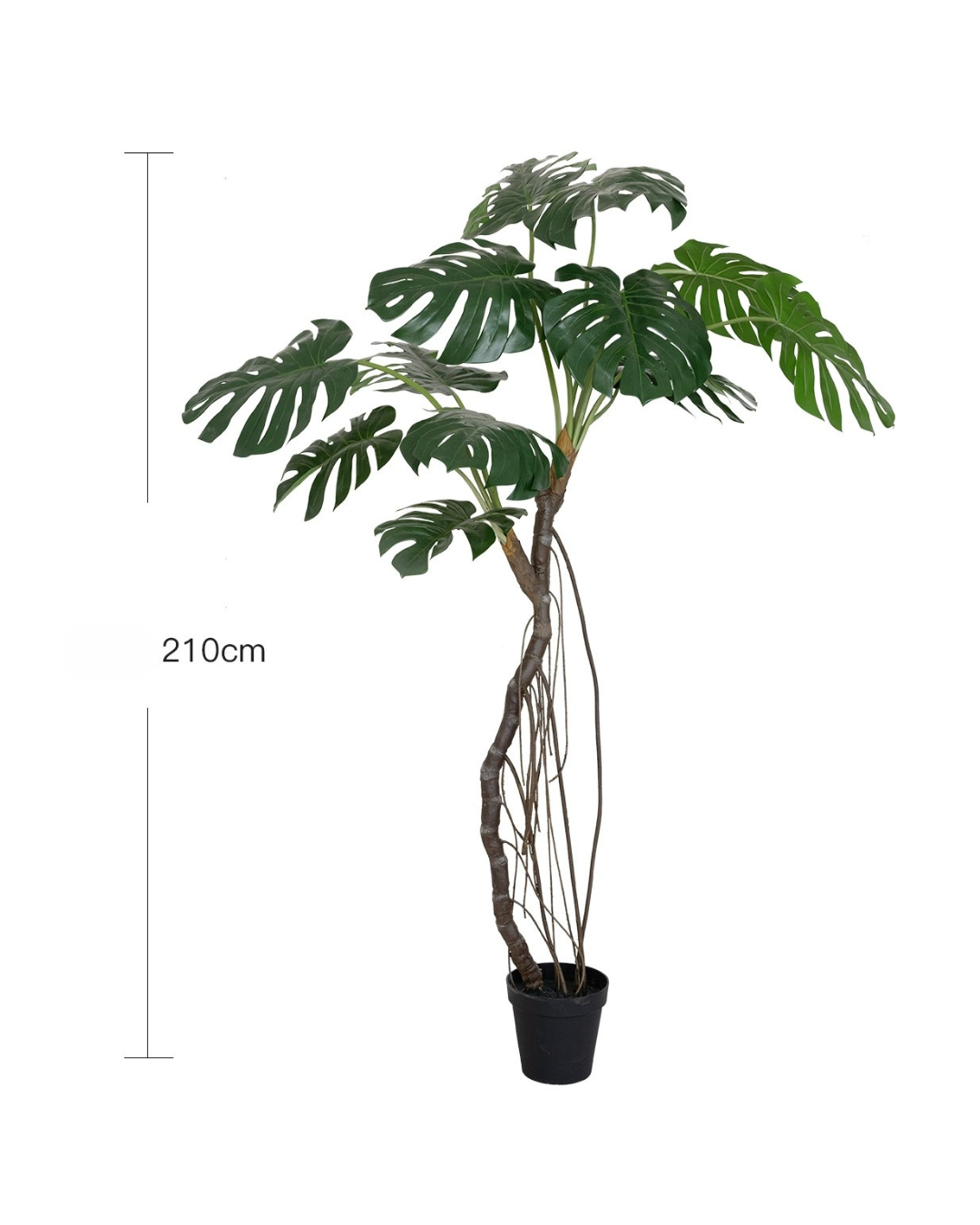 210cm