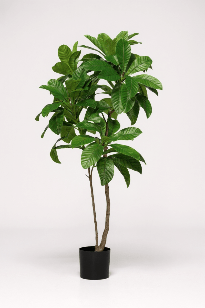 Grow Pot
